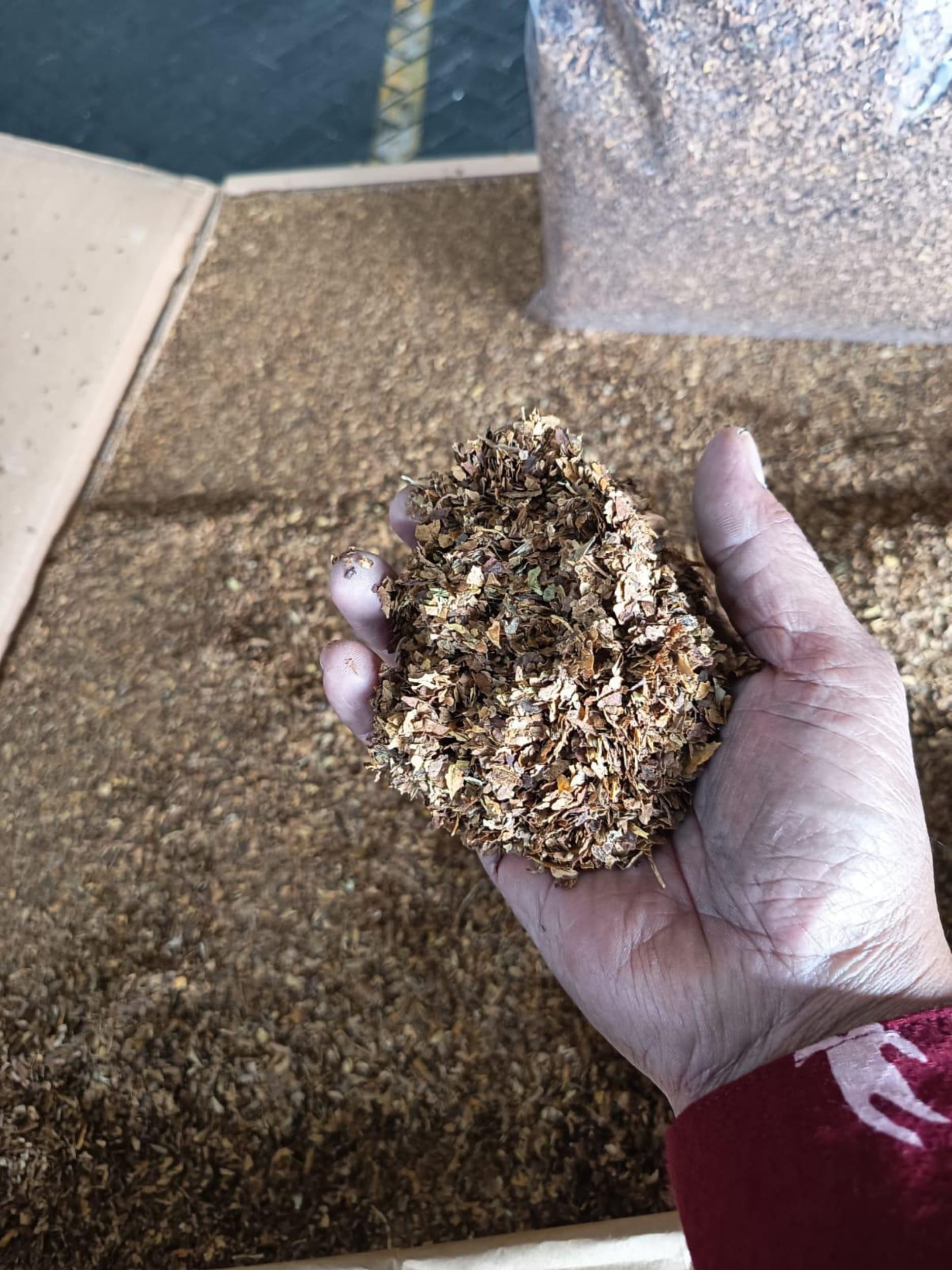 CV Berkah Anugerah Niaga Tangani Customs Clearance Impor FCV Scraps Tobacco PT Iswin Tobacco Indonesia dari Argentina